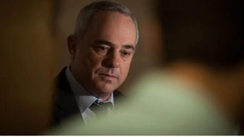 חומת הגנה כלכלית. שטייניץ