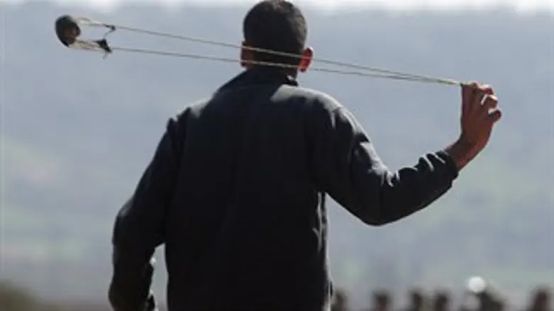 ככל הנראה רוגטקה