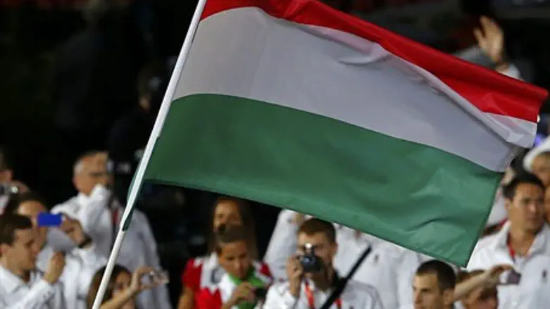 Hungarian flag