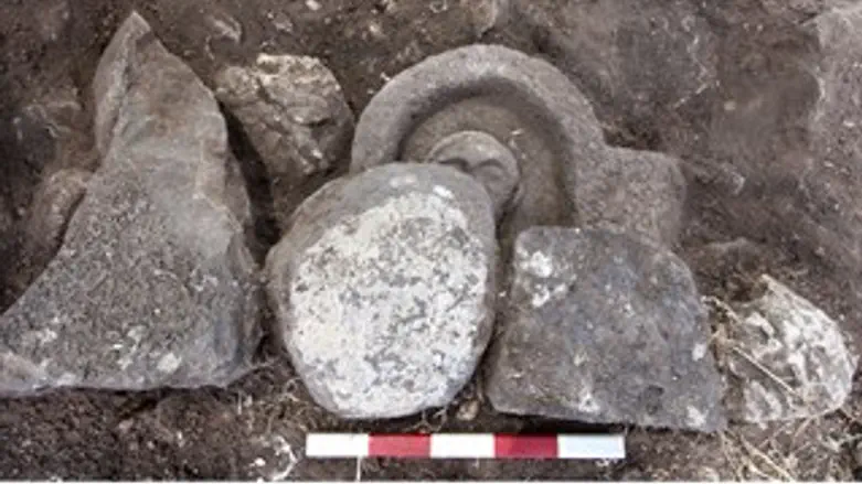 הממצאים בסוסיתא