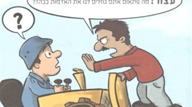 מתוך החוברת