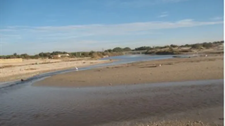 שפך נחל אלכסנדר