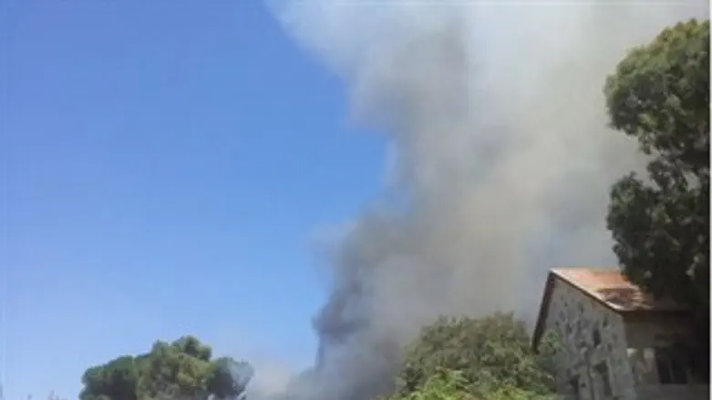 העשן מיתמר מעל אזור השריפה