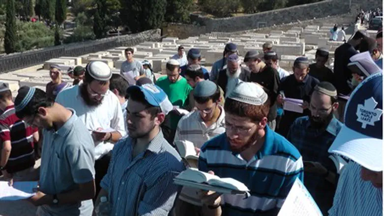 На могиле рава Кука. Иллюстрация