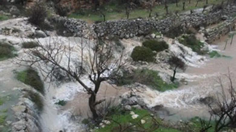 בריכות שלמה