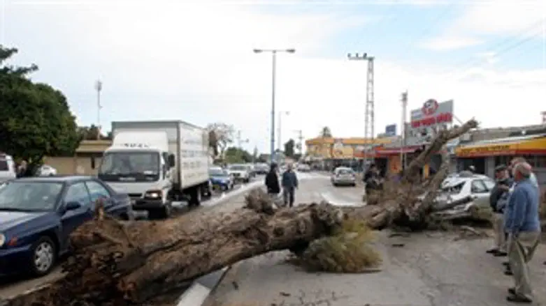 אילוסטרציה