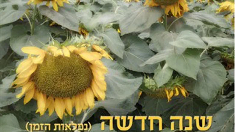 שנה חדשה