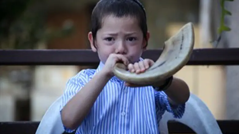 מוישי הולצברג