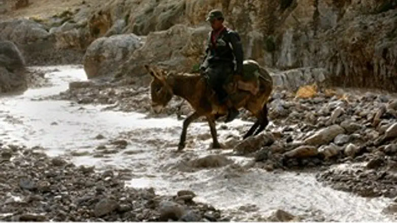 אילוסטרציה