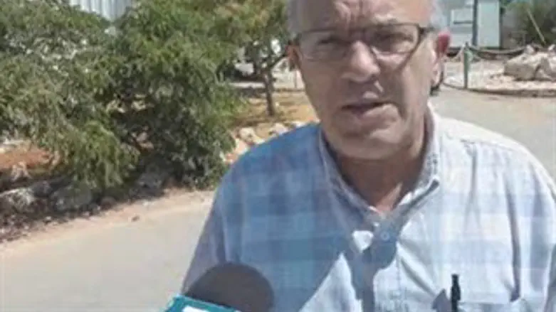 פנחס ולרשטיין