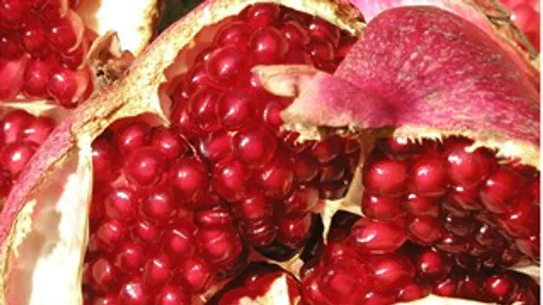 זינוק ביצוא הרימונים