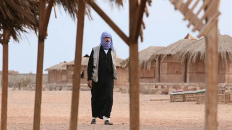 Sinai Peninsula