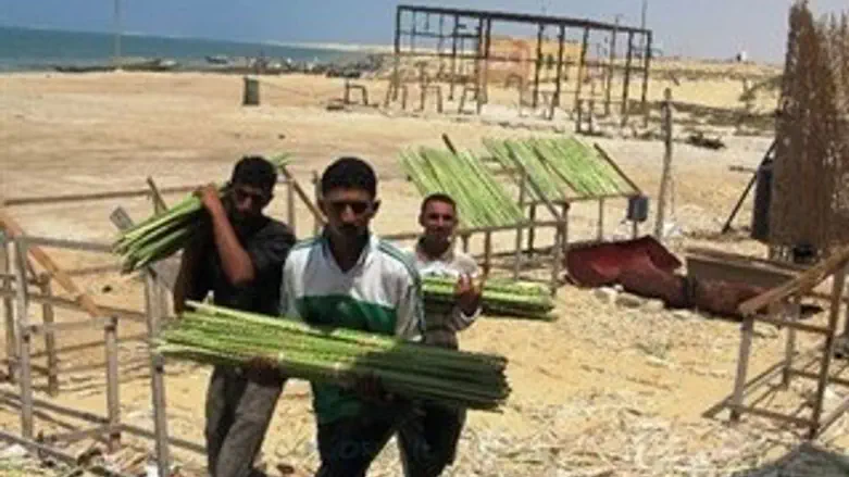 סוחרי לולבים באל עריש