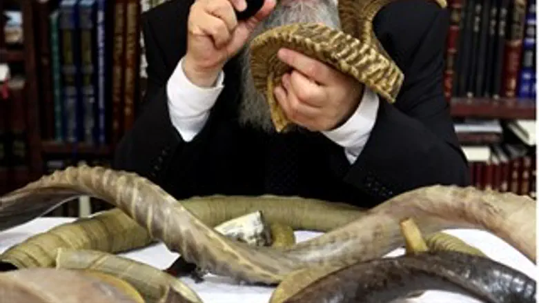 לא כולם עוברים את הבדיקה