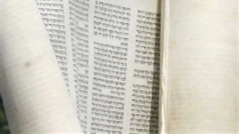 גווילים. אילוסטרציה