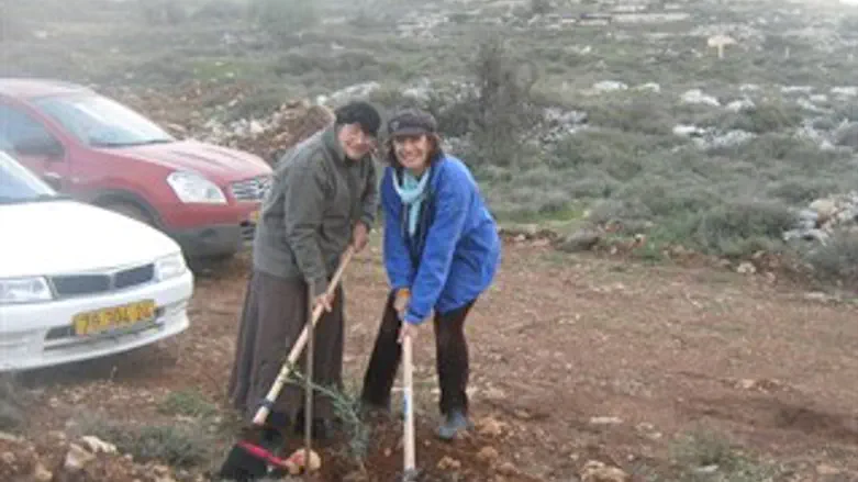 מטר וקצובר נוטעות עוד עץ