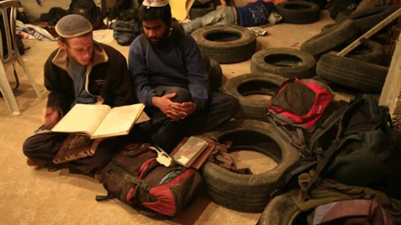 Jews in the Peace House, 2008