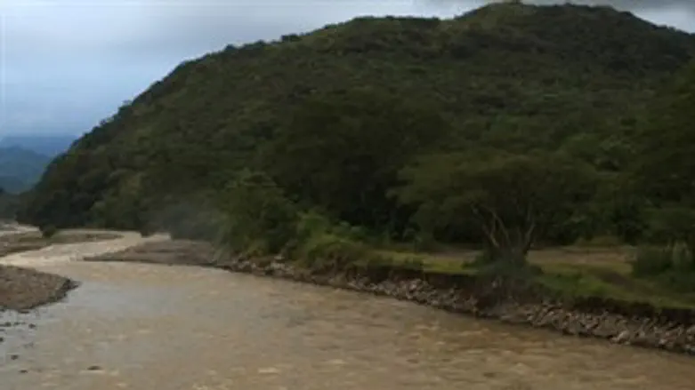 אילוסטרציה