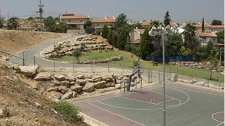 היישוב צופים
