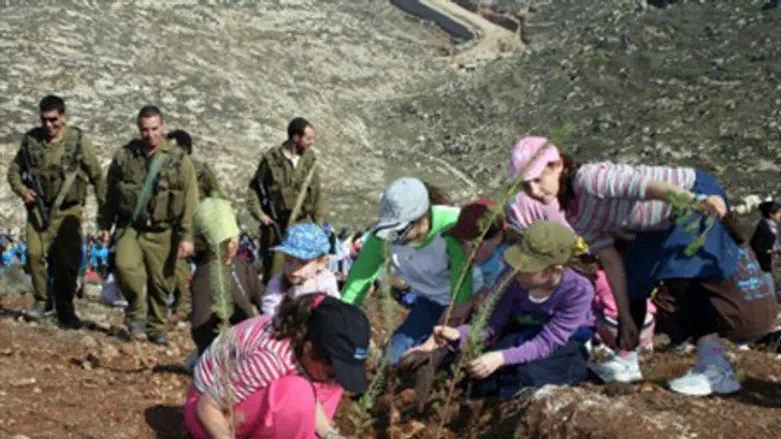 Planting near Efrat (file)