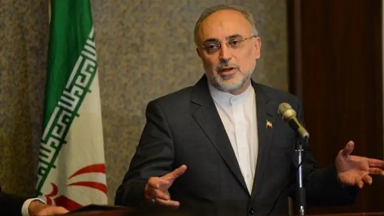 Iranian Foreign Minister Ali Akbar Salehi
