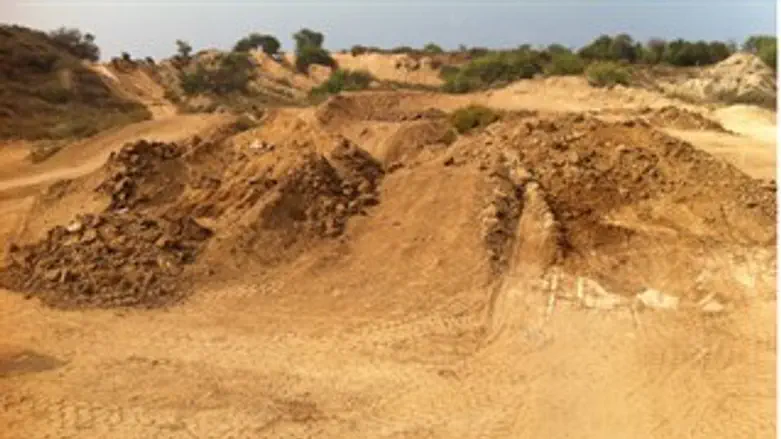 המסלול המוטורי