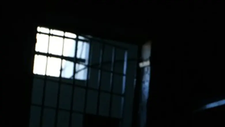 יוצאים לחופשי