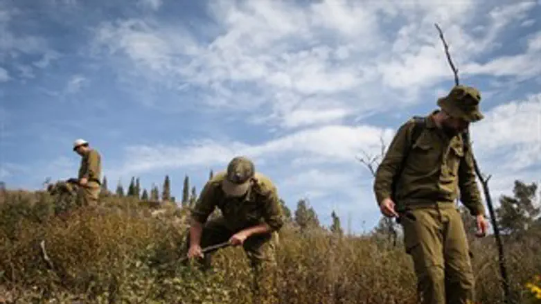 הסריקות היום בכרמל. 