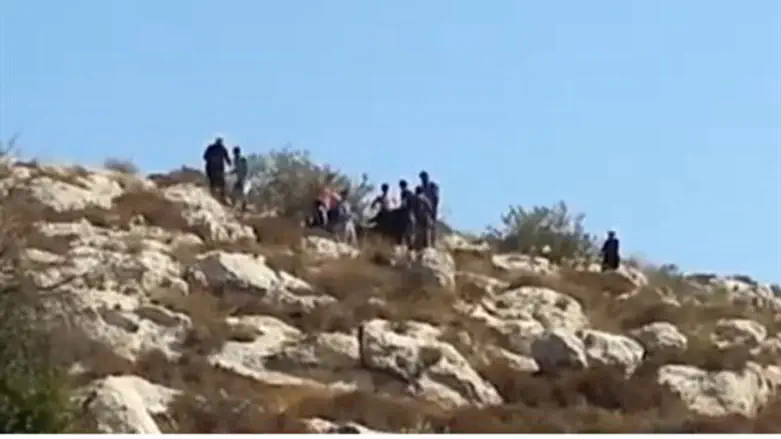 Leftists and Arabs cut down trees