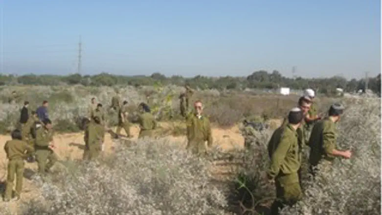 חיילי בסיס פלמחים בפעילות בחולות