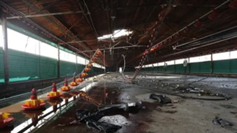 ירי על הדרום