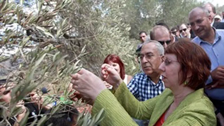קתרין אשטון וסלאם פיאד במסיק הזיתים היום