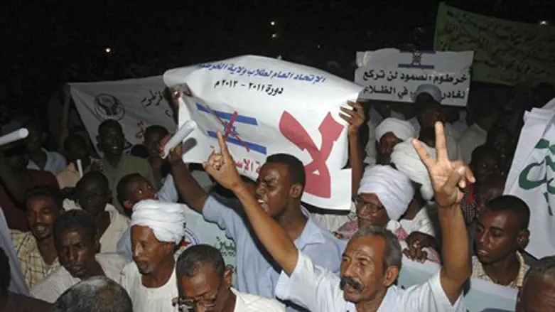 Sudanese protesters hold banners and chant an