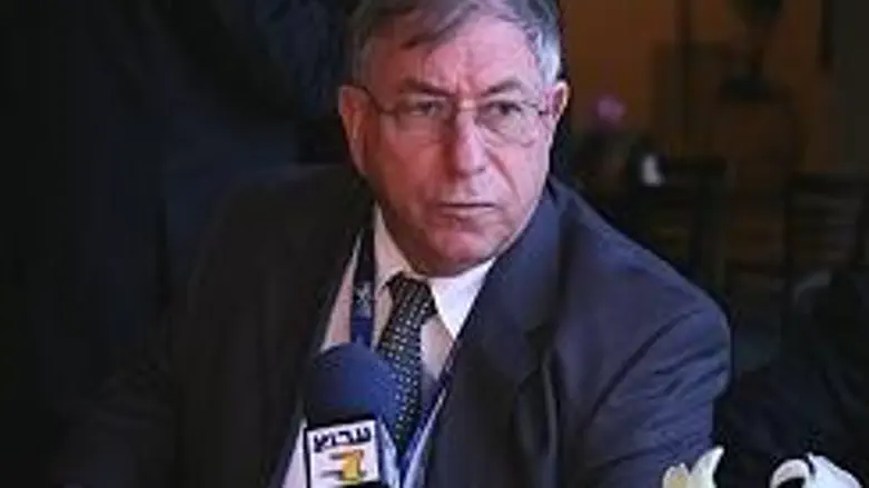 מודה. אורן שחור