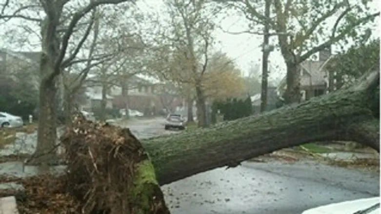 תוצאות הסופה היום בברוקלין