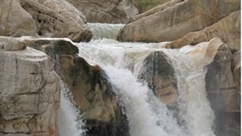 התמונה הזוכה