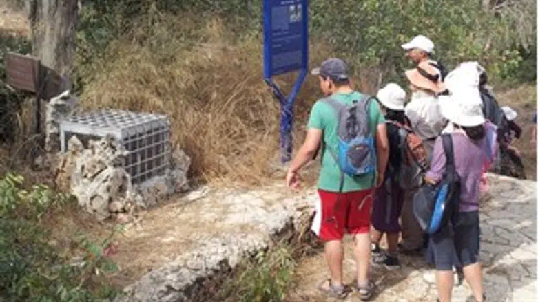 העץ של הרצל