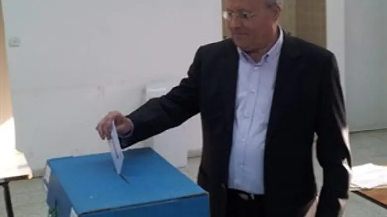 מצביעים ומשפיעים (תמונת ארכיון)