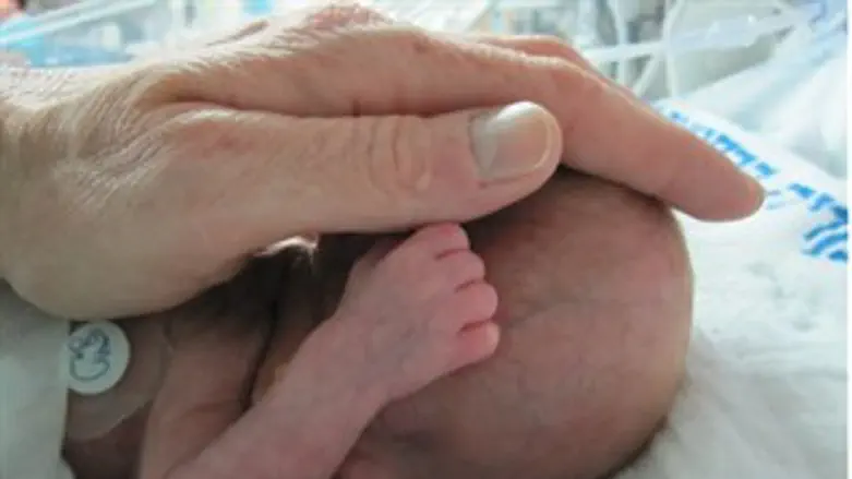 "תמותת הפגים במגמת עלייה"