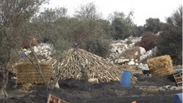 מפחמה בשומרון