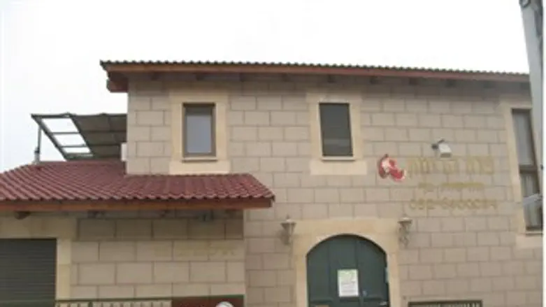 פלח הרימון מרשת אוליב