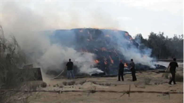 השריפה בקיבוץ רביבים