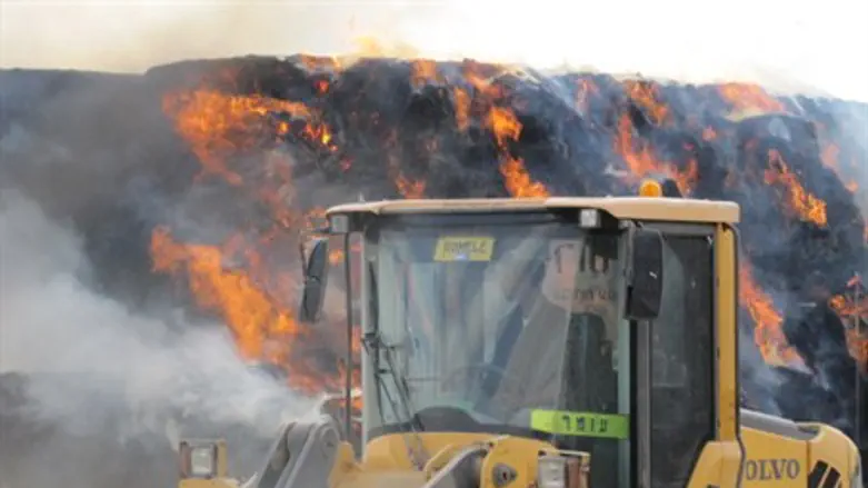 Bedouin burn Jewish cow barn
