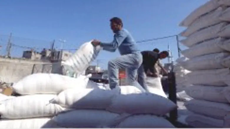 שקי מזון לרצועה