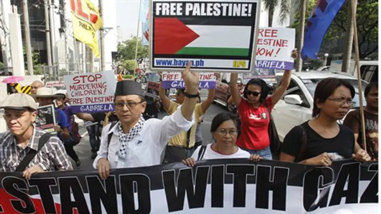 anti-Israel protesters (illustrative)