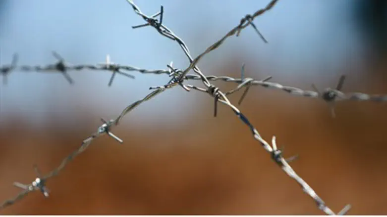 barbed wire