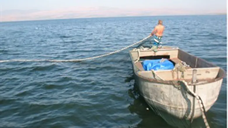 כנרת וטעמים