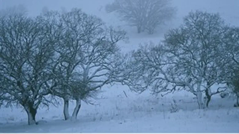 אילוסטרציה