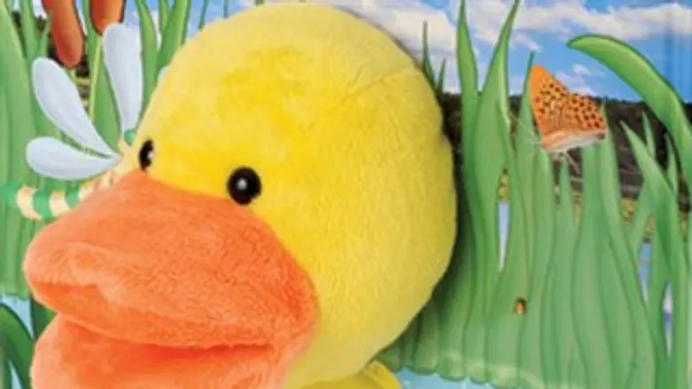 גלי הברווזונת