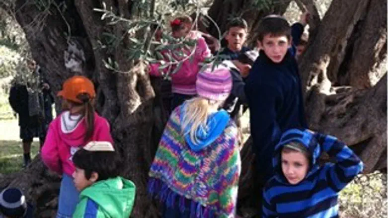 בגבעת היקבים בבנימין